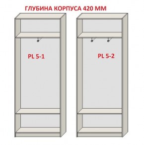 Шкаф распашной серия «ЗЕВС» (PL3/С1/PL2) в Тюмени - tumen.mebel24.online | фото 8