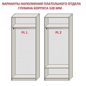 Шкаф распашной серия «ЗЕВС» (PL3/С1/PL2) в Тюмени - tumen.mebel24.online | фото 9