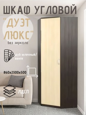 Шкаф угловой Дуэт Люкс без зеркала в Тюмени - tumen.mebel24.online | фото 3