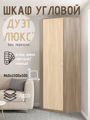 Шкаф угловой Дуэт Люкс без зеркала в Тюмени - tumen.mebel24.online | фото 7