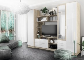 СОФИ Гостиная (модульная) дуб сонома/белый глянец в Тюмени - tumen.mebel24.online | фото