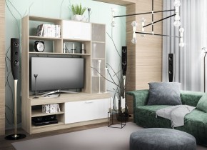 СОФИ Гостиная (модульная) дуб сонома/белый глянец в Тюмени - tumen.mebel24.online | фото 26