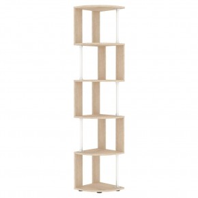 Стеллаж Alice S110 в Тюмени - tumen.mebel24.online | фото 5