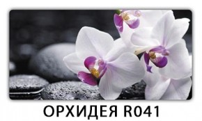 Стол Бриз с фотопечатью Цветы R044 в Тюмени - tumen.mebel24.online | фото 10
