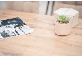 Стол обеденный Тринити Лофт 120 в Тюмени - tumen.mebel24.online | фото 6
