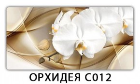 Стол раздвижной Трилогия с фотопечатью Доска D111 в Тюмени - tumen.mebel24.online | фото 13
