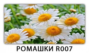 Стол раздвижной Трилогия с фотопечатью Доска D111 в Тюмени - tumen.mebel24.online | фото 15
