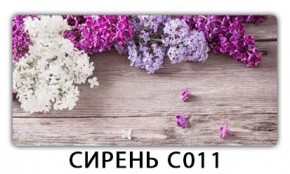 Стол раздвижной Трилогия с фотопечатью Доска D111 в Тюмени - tumen.mebel24.online | фото 16
