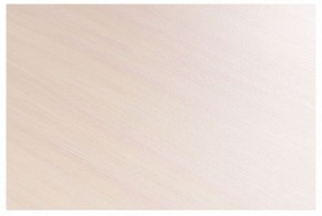 Стол-трансформер Престиж в Тюмени - tumen.mebel24.online | фото 8