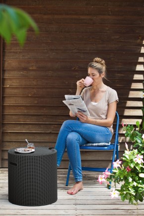 Столик-холодильник Кул-Стул (Cool stool) коричневый в Тюмени - tumen.mebel24.online | фото 2