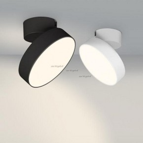 Светильник на штанге Arlight SP-RONDO-FLAP-R210-20W Day4000 (BK, 110 deg) 026453 в Тюмени - tumen.mebel24.online | фото 3