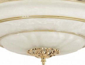 Светильник на штанге Arti Lampadari Pavia Pavia E 1.13.P40 G в Тюмени - tumen.mebel24.online | фото 3