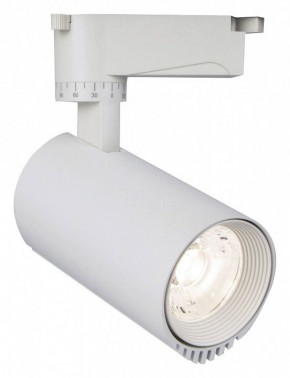 Светильник на штанге Escada 20031 20031TRA/01LED SWH в Тюмени - tumen.mebel24.online | фото
