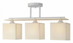 Светильник на штанге Escada Ares 1117/3PL в Тюмени - tumen.mebel24.online | фото 2