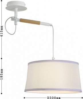 Светильник на штанге F-promo Eureka 3005-1P в Тюмени - tumen.mebel24.online | фото 5
