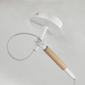 Светильник на штанге F-promo Eureka 3005-1P в Тюмени - tumen.mebel24.online | фото 8