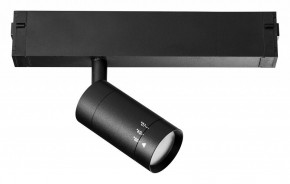Светильник на штанге Lightstar Teta 205017 в Тюмени - tumen.mebel24.online | фото 2