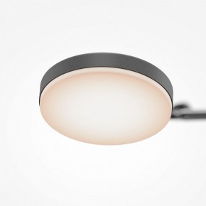 Светильник на штанге Maytoni Fad MOD070CL-L15B3K1 в Тюмени - tumen.mebel24.online | фото 7
