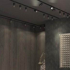 Светильник на штанге Novotech Elina 370777 в Тюмени - tumen.mebel24.online | фото 4