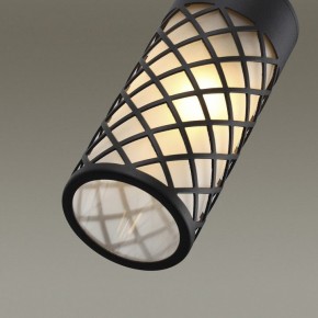 Светильник на штанге Odeon Light Dunes 4834/1W в Тюмени - tumen.mebel24.online | фото 5