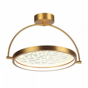 Светильник на штанге Odeon Light Solaris 6627/36CL в Тюмени - tumen.mebel24.online | фото 3