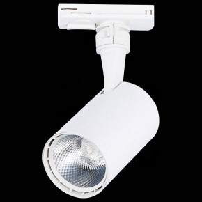 Светильник на штанге ST-Luce Cami ST351.536.10.36 в Тюмени - tumen.mebel24.online | фото 9