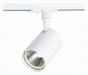 Светильник на штанге ST-Luce Cami ST351.536.20.36 в Тюмени - tumen.mebel24.online | фото 2