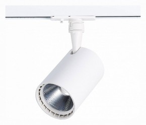 Светильник на штанге ST-Luce Cami ST351.536.20.36 в Тюмени - tumen.mebel24.online | фото 3