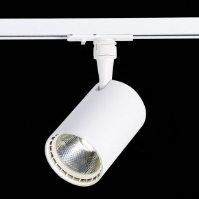 Светильник на штанге ST-Luce Cami ST351.536.20.36 в Тюмени - tumen.mebel24.online | фото 6