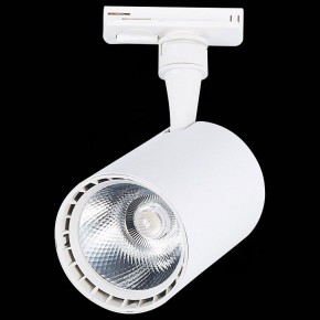 Светильник на штанге ST-Luce Cami ST351.546.15.36 в Тюмени - tumen.mebel24.online | фото 9