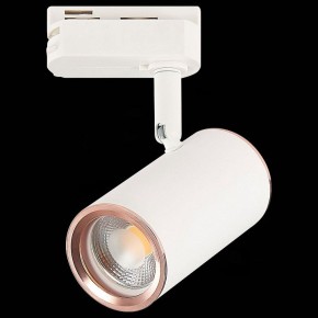 Светильник на штанге ST-Luce Cromi ST301.526.01 в Тюмени - tumen.mebel24.online | фото 4
