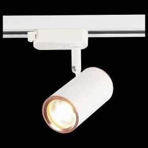 Светильник на штанге ST-Luce Cromi ST301.526.01 в Тюмени - tumen.mebel24.online | фото 6
