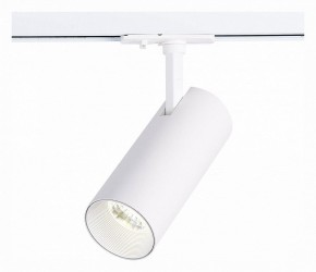 Светильник на штанге ST-Luce Mono ST350.536.20.36 в Тюмени - tumen.mebel24.online | фото 2