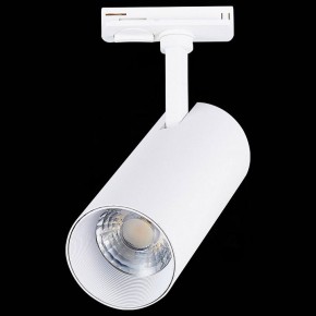 Светильник на штанге ST-Luce Mono ST350.536.20.36 в Тюмени - tumen.mebel24.online | фото 6