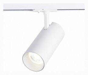 Светильник на штанге ST-Luce Mono ST350.536.30.36 в Тюмени - tumen.mebel24.online | фото 2