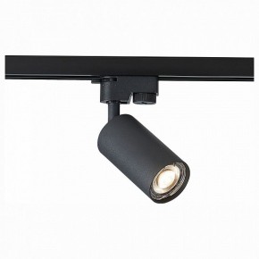 Светильник на штанге ST-Luce Solt ST300.406.01 в Тюмени - tumen.mebel24.online | фото 1