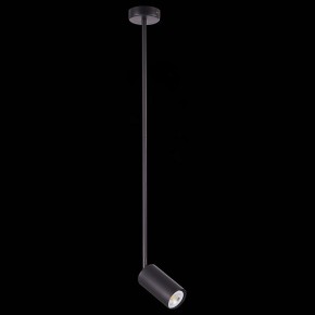 Светильник на штанге ST-Luce Sormano SL1206.403.01 в Тюмени - tumen.mebel24.online | фото 4