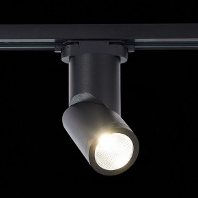Светильник на штанге ST-Luce ST650 ST650.436.10 в Тюмени - tumen.mebel24.online | фото 3