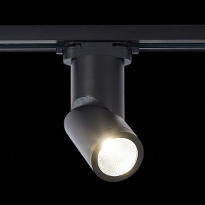 Светильник на штанге ST-Luce ST650 ST650.446.10 в Тюмени - tumen.mebel24.online | фото 2