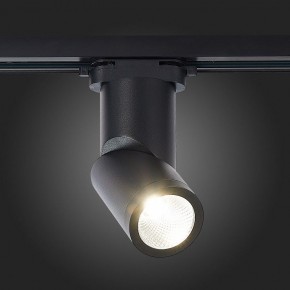 Светильник на штанге ST-Luce ST650 ST650.446.10 в Тюмени - tumen.mebel24.online | фото 4