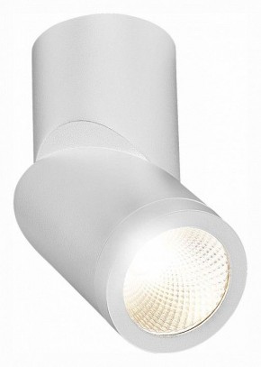 Светильник на штанге ST-Luce ST650 ST650.542.10 в Тюмени - tumen.mebel24.online | фото 3