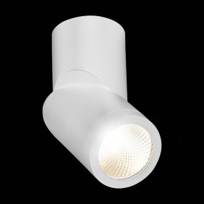 Светильник на штанге ST-Luce ST650 ST650.542.10 в Тюмени - tumen.mebel24.online | фото 5