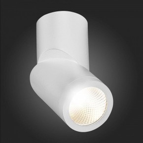 Светильник на штанге ST-Luce ST650 ST650.542.10 в Тюмени - tumen.mebel24.online | фото 6
