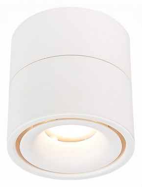 Светильник на штанге ST-Luce ST652 ST652.542.12 в Тюмени - tumen.mebel24.online | фото 2