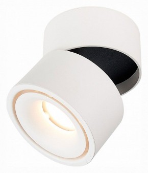 Светильник на штанге ST-Luce ST652 ST652.542.12 в Тюмени - tumen.mebel24.online | фото 3