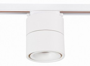 Светильник на штанге ST-Luce ST652 ST652.546.12 в Тюмени - tumen.mebel24.online | фото 2