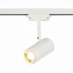 Светильник на штанге ST-Luce Zoom ST600.536.12 в Тюмени - tumen.mebel24.online | фото 2