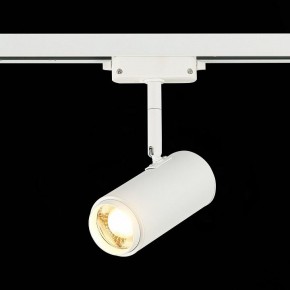 Светильник на штанге ST-Luce Zoom ST600.536.12 в Тюмени - tumen.mebel24.online | фото 4
