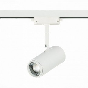 Светильник на штанге ST-Luce Zoom ST600.546.12 в Тюмени - tumen.mebel24.online | фото 3