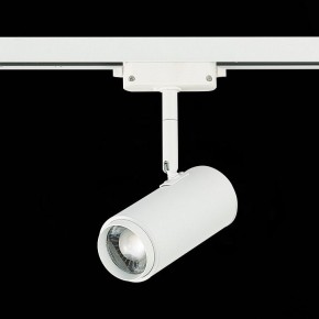 Светильник на штанге ST-Luce Zoom ST600.546.12 в Тюмени - tumen.mebel24.online | фото 5